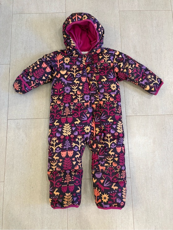 Columbia Other - Columbia Snuggly Bunny Bunting Snowsuit